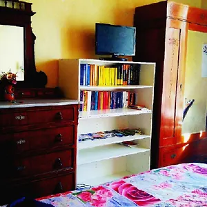 Homestay La Lilla Siena